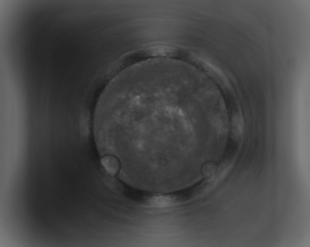 X0000100490413200807111127
