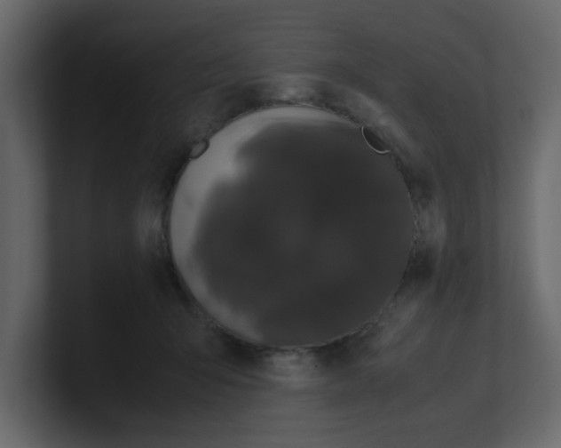 X0000100490415200807111127