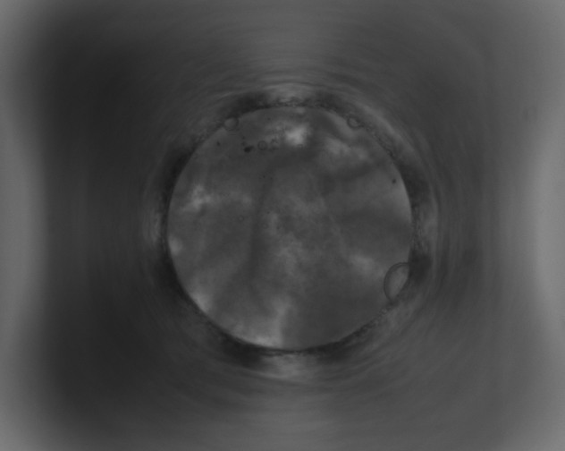 X0000100490417200807111127