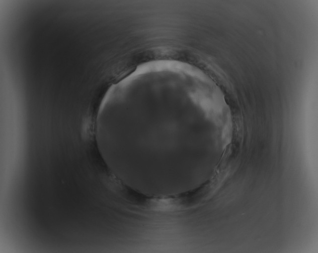 X0000100490419200807111127