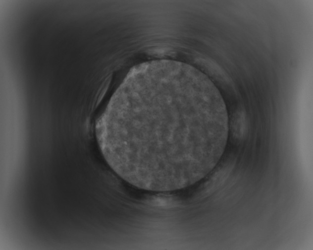 X0000100490420200807111127
