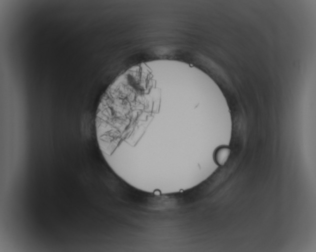 X0000100490421200807111127