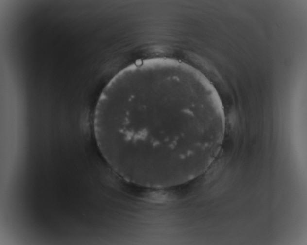 X0000100490423200807111127