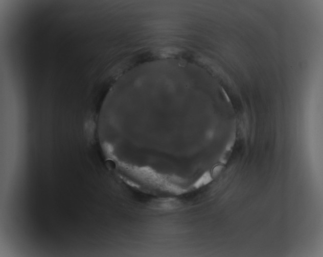 X0000100490427200807111126