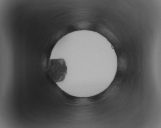 X0000100490428200807111126