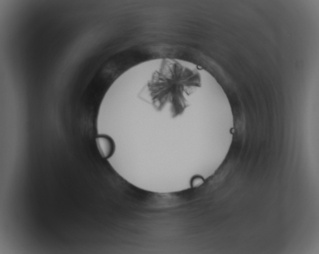 X0000100490429200807111126