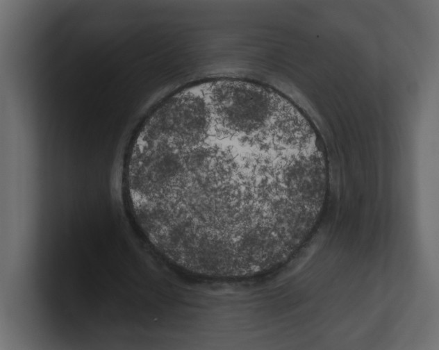 X0000100490434200807111126
