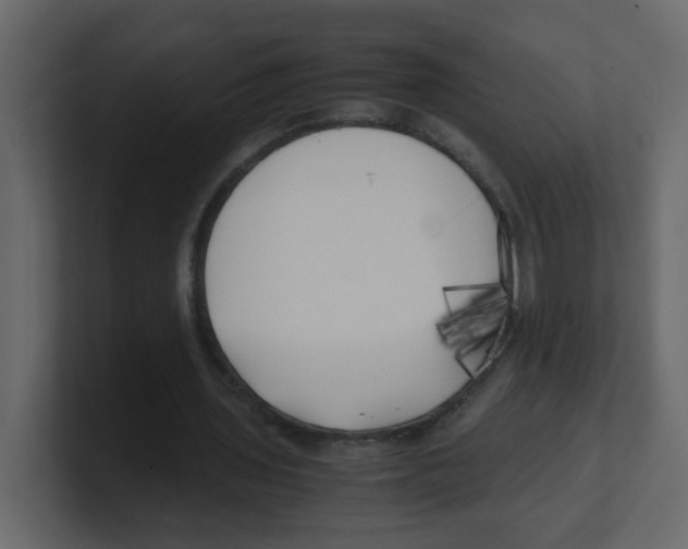 X0000100490435200807111126