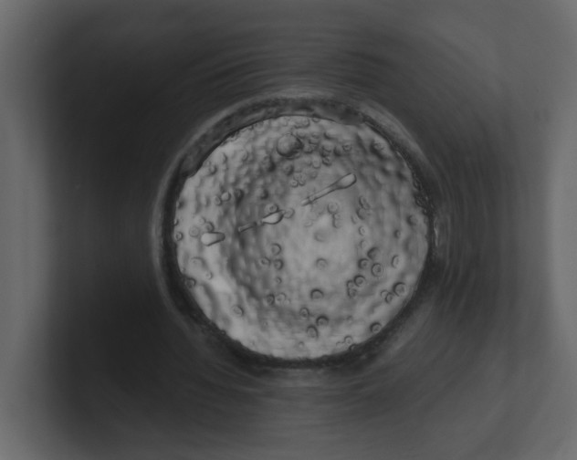 X0000100490436200807111126