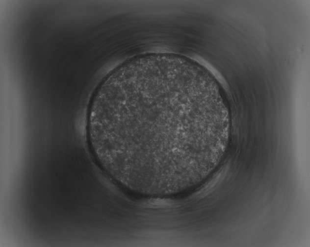 X0000100490437200807111126