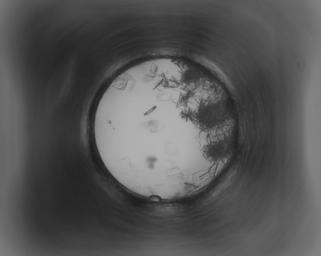X0000100490439200807111126