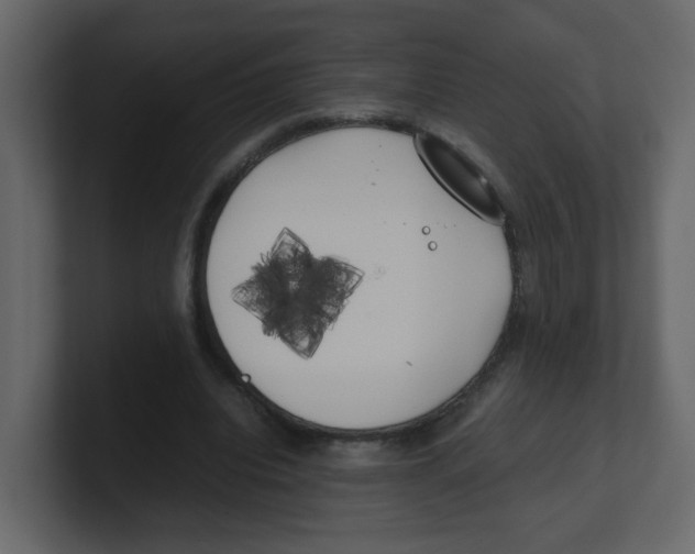 X0000100490440200807111126