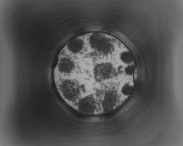 X0000100490441200807111126