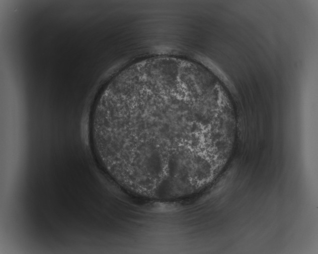 X0000100490442200807111126
