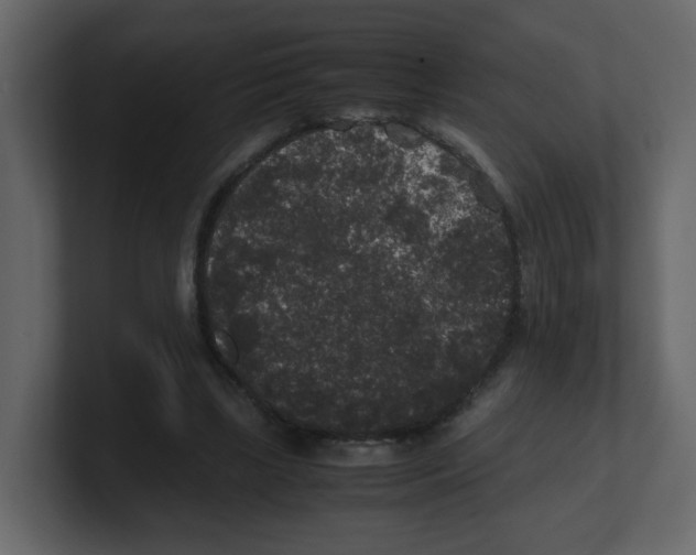 X0000100490443200807111126