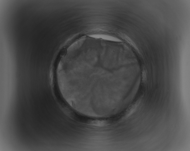 X0000100490444200807111126