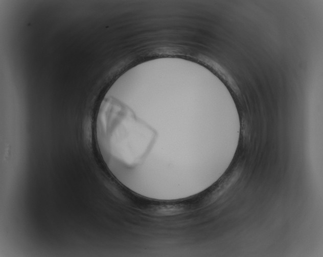 X0000100490445200807111126