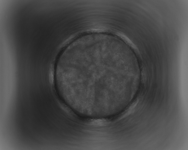 X0000100490446200807111126