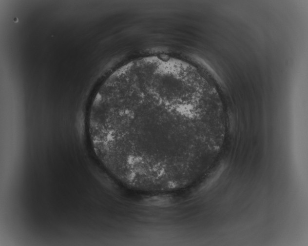 X0000100490447200807111126