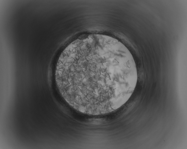 X0000100490448200807111126