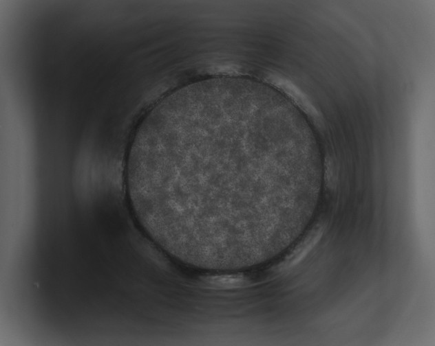 X0000100490449200807111126