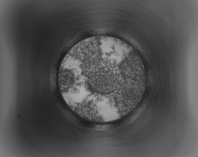 X0000100490450200807111126