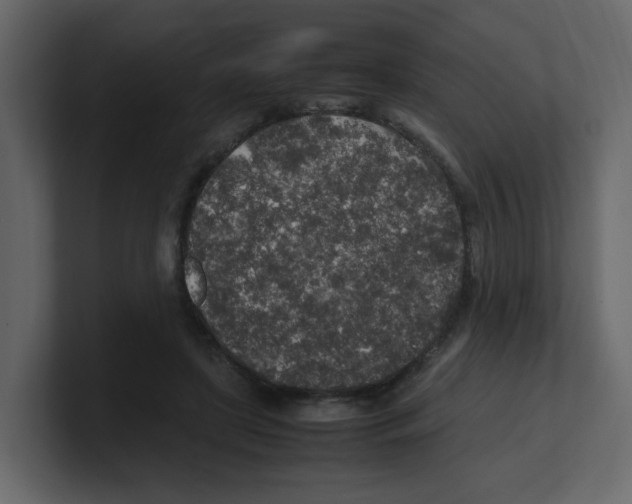 X0000100490451200807111126