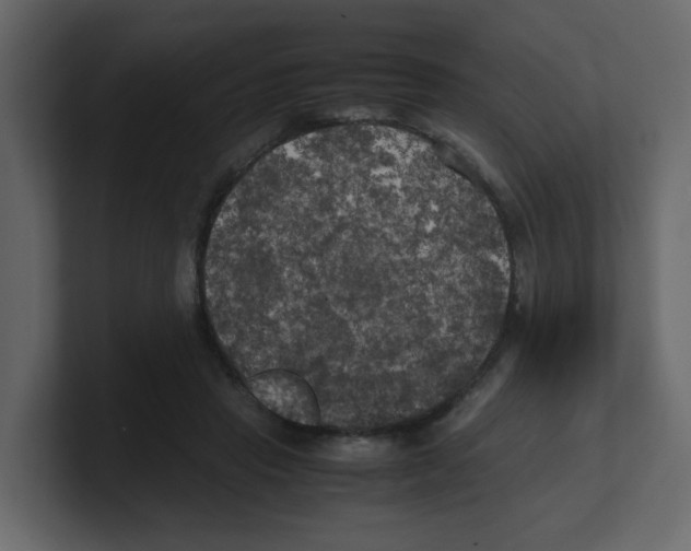 X0000100490453200807111126