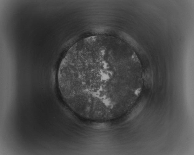 X0000100490454200807111126