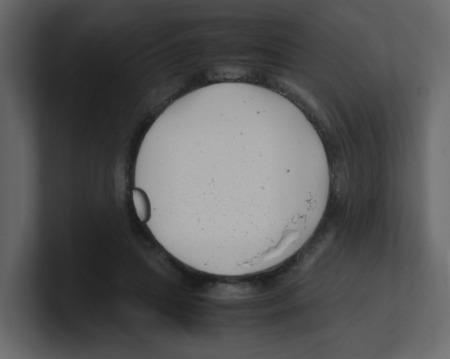 X0000100490455200807111126