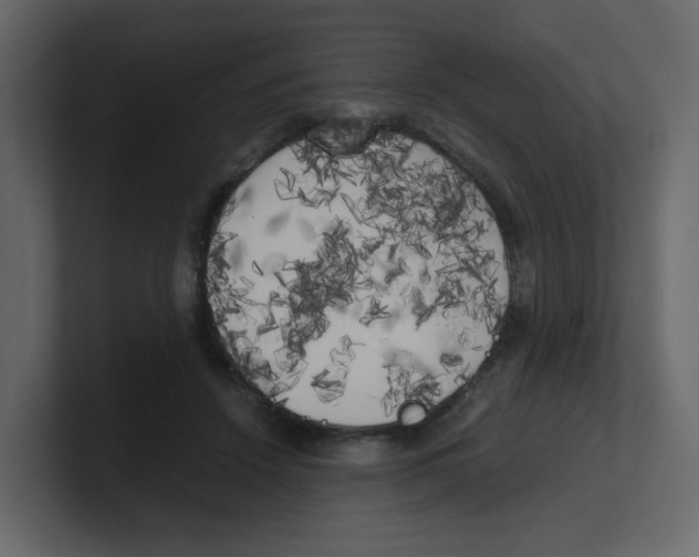 X0000100490456200807111126
