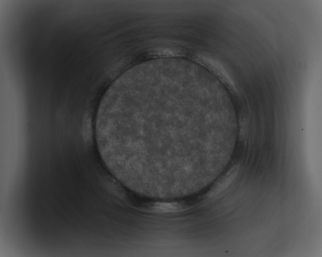 X0000100490457200807111126