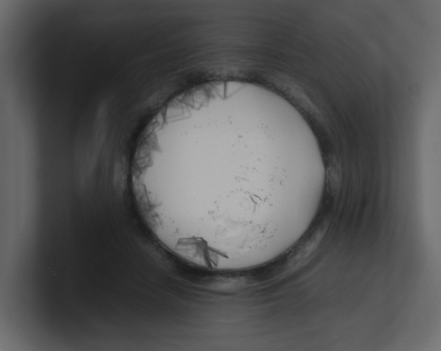 X0000100490458200807111126