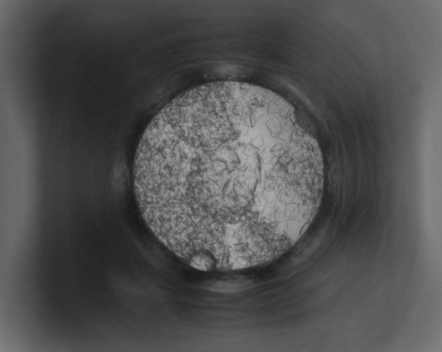X0000100490459200807111126