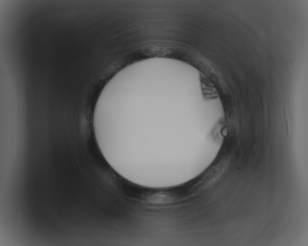 X0000100490460200807111126