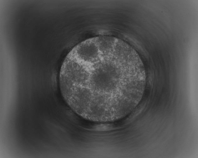 X0000100490461200807111126