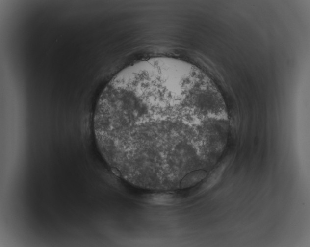 X0000100490462200807111126