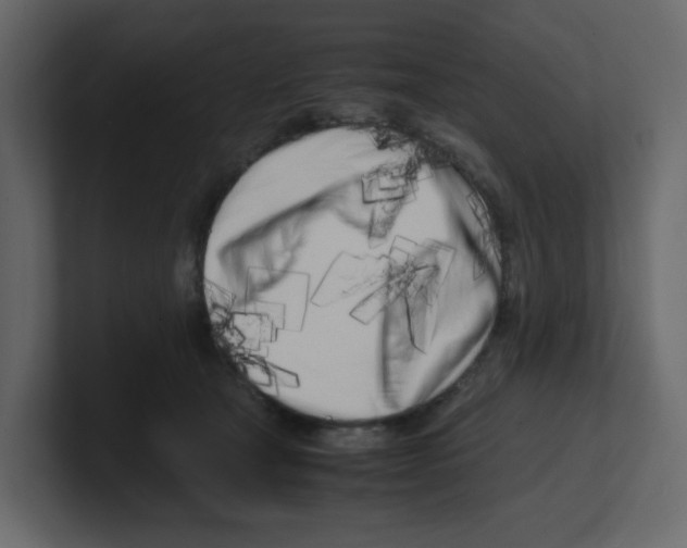 X0000100490465200807111126