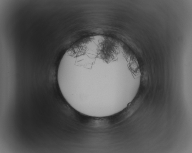 X0000100490466200807111126