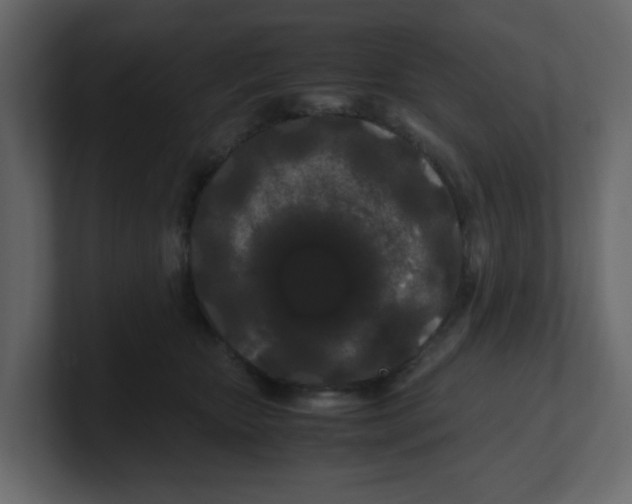 X0000100490467200807111126