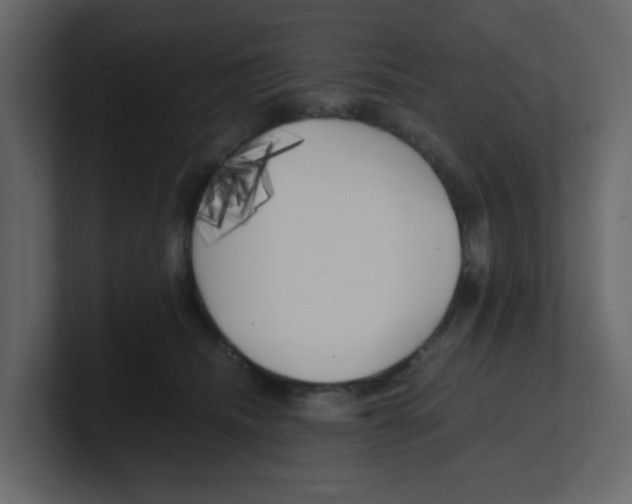 X0000100490468200807111126