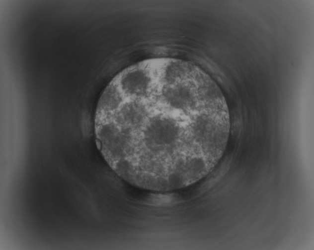 X0000100490469200807111126