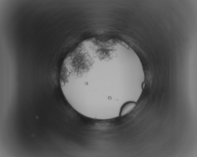 X0000100490470200807111126