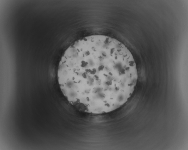 X0000100490472200807111126