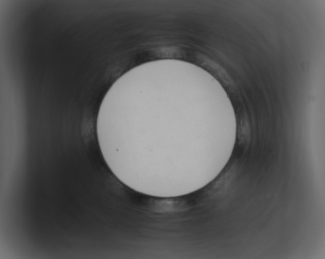 X0000100490473200807111126