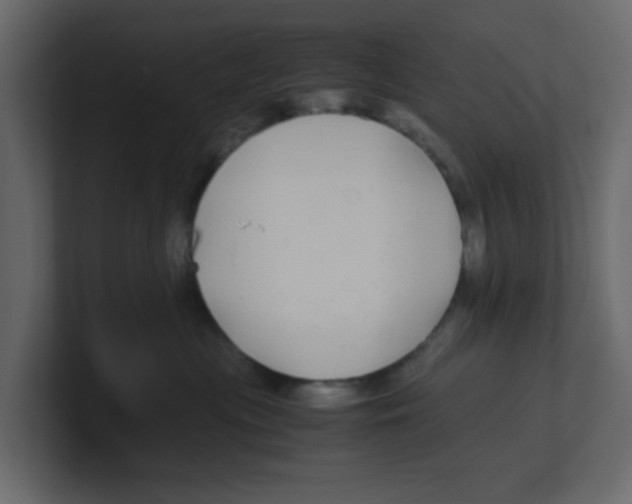 X0000100490477200807111126