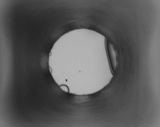 X0000100490480200807111126
