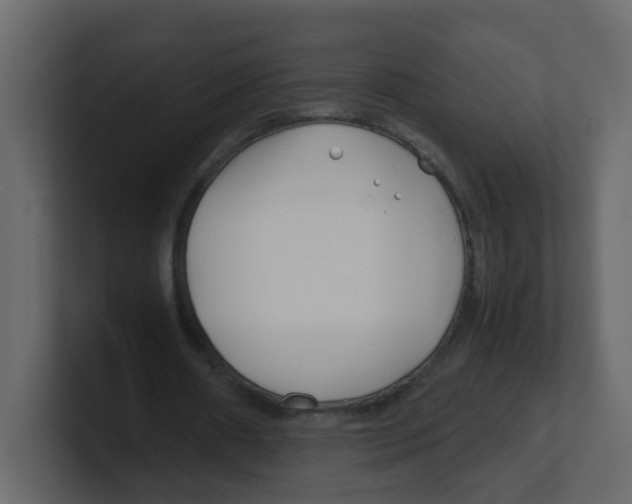 X0000100490482200807111126