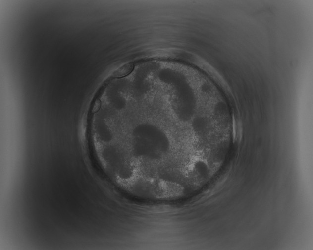 X0000100490483200807111126