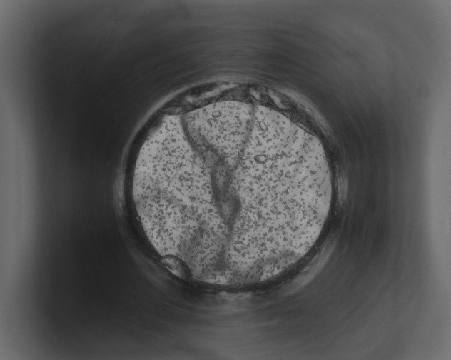 X0000100490484200807111126